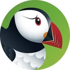 Puffin browser 